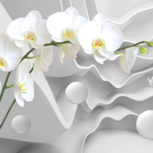 3D фотообои "Белая орхидея с шарами"