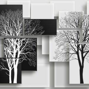 3D фотообои "Деревья на черном и белом фоне"