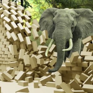 3D фотообои "Слон сломал стену из белого кирпича"