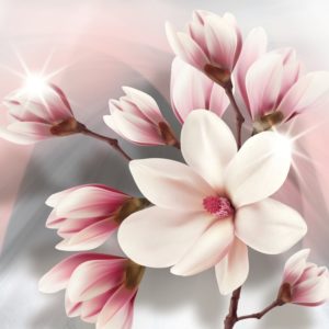 3D фотообои "Белые цветы на розово-сером "