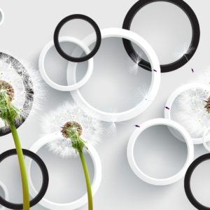 3D фотообои "Белые и черные круги с одуванчиками"