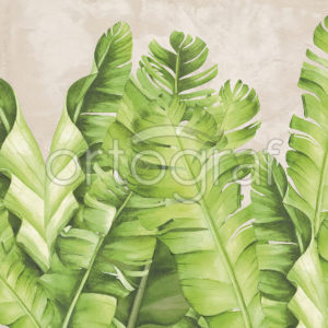 Изображение #32700 Banana leaves lime фотообои