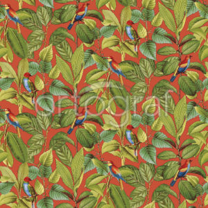Изображение #32721 Tropicana red фотообои