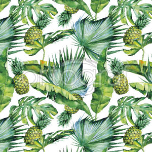 Изображение #32738 Pineapple фотообои