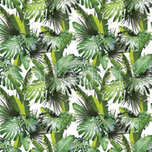 Изображение #32759 Tropical mix 2 фотообои
