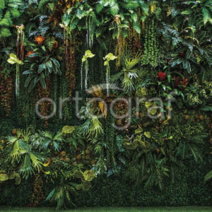Изображение #32763 Oasis фотообои