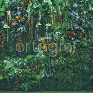 Изображение #32765 Oasis green фотообои