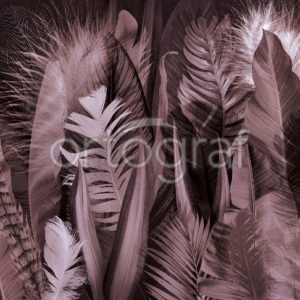 Изображение #33357 Feathers and leaves pink фотообои